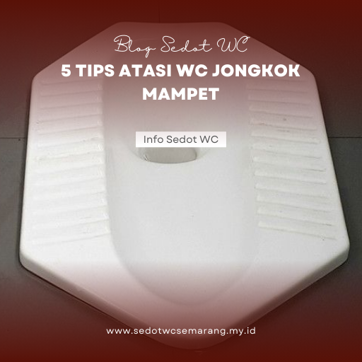 5 Tips Atasi WC Jongkok Mampet