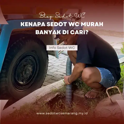 Kenapa Sedot WC Murah Banyak di Cari