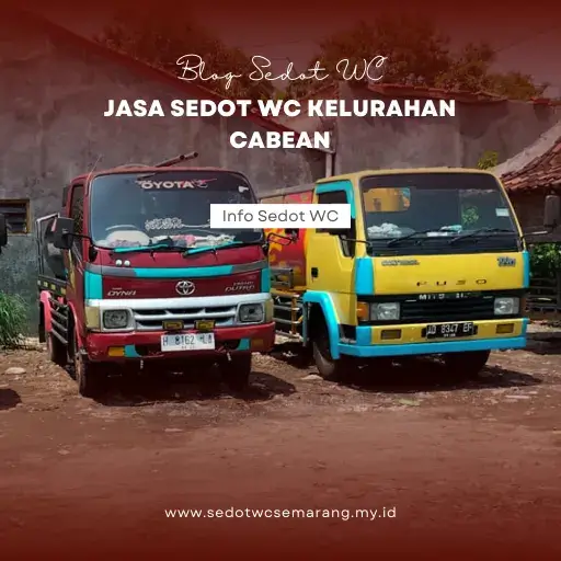 Jasa Sedot WC Kelurahan Cabean